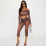 Floral leopard print mesh printed one shoulder lapel cropped pants set