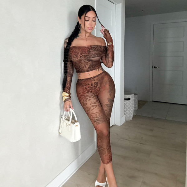 Floral leopard print mesh printed one shoulder lapel cropped pants set