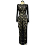 Perspective long sleeved lace dress