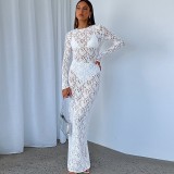 Perspective long sleeved lace dress