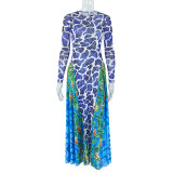 Printed Micro Transparent Waist Bag Hip Skirt High Neck Long Sleeve Long Dress
