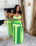 Strapless gradient pleated skirt two-piece set