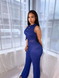 Two piece vest high waisted wide leg pants set