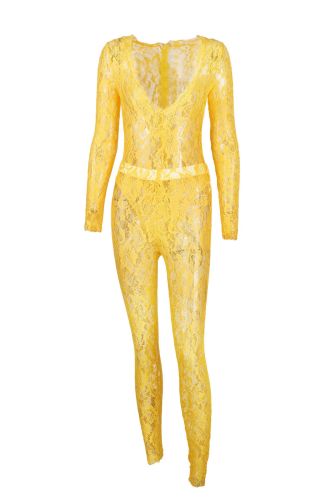 Lace hollowed out deep V perspective long sleeved top and pants set
