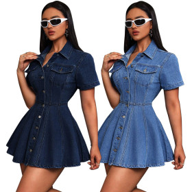 Waist cinched lapel dress