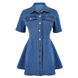Waist cinched lapel dress