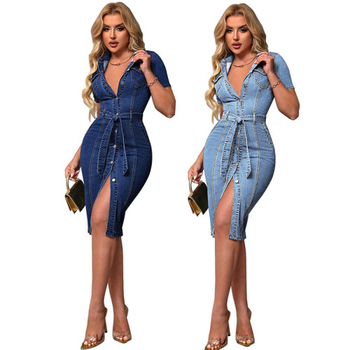Cowboy collar short sleeved waist cinched dress