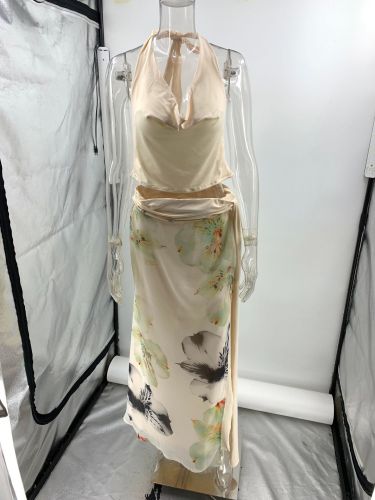 Backless hanging neck top printed long skirt two-piece set