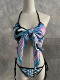 Split bikini swimsuit