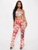 Printed lace up strapless pants set