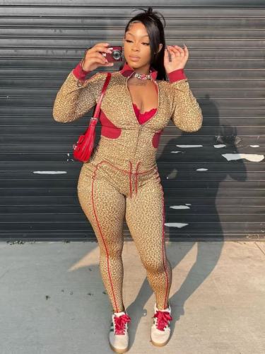 Leopard print contrasting long sleeved zipper cardigan, drawstring pants two-piece set