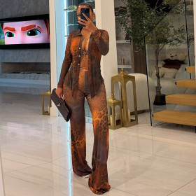 Leopard print mesh collar button up cardigan, flared pants set