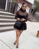 Bubble skirt long sleeved mesh dress