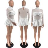 Bubble skirt long sleeved mesh dress