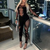 Mesh see through long sleeved round neck lace jumpsuit