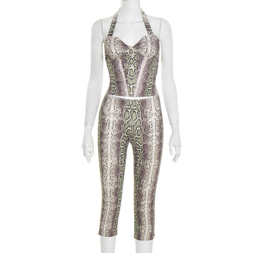 Serpentine print hanging neck sleeveless top and pants set