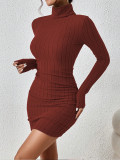 Long sleeved round neck hip hugging dress