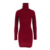 Long sleeved round neck hip hugging dress