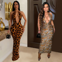 Leopard print dress