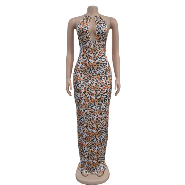 Leopard print dress