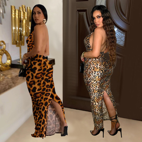 Leopard print dress
