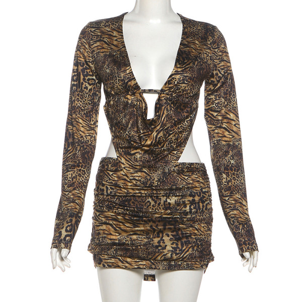 Leopard print V-neck long sleeved top, low waist short skirt set