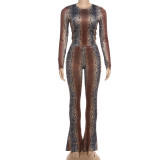 Waist-cinching long-sleeved top with printed pants set