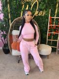 Short top straight leg pants sportswear set