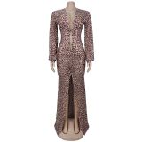 Deep V leopard print split arm dress