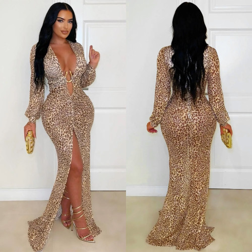 Deep V leopard print split arm dress