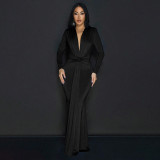 Long sleeved waist cinched pleated dress