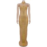 Perspective mesh rhinestone dress