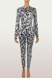 Perspective leopard print long sleeved shirt and pants set