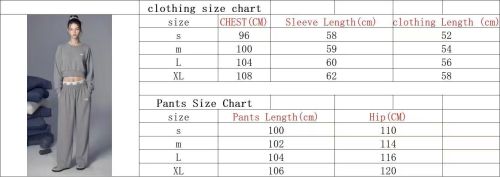 Letters 2 pcs women Tracksuit  ALO20251213