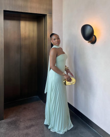 Strapless high waisted pleated dress, long skirt