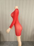Sexy ultra-elastic glossy body tights with a sexy see-through skirt for nightclubs