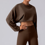 Round neck sweatshirt T-shirt short base loose long sleeved top