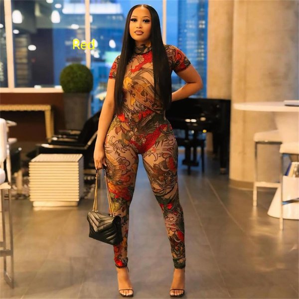 Backless pattern printed see through mesh jumpsuit