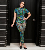 Backless pattern printed see through mesh jumpsuit