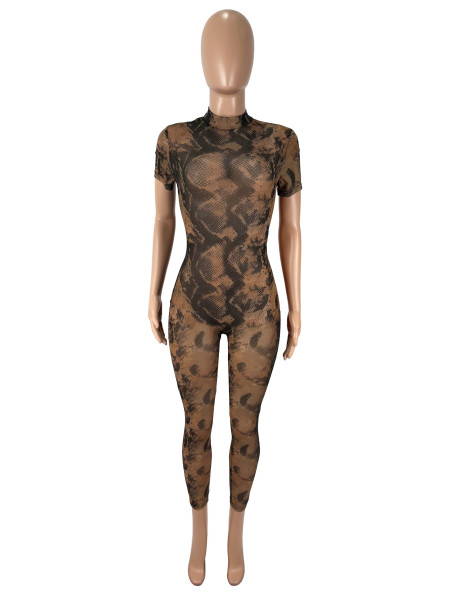 Backless pattern printed see through mesh jumpsuit