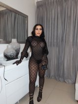 Hot stamping one-piece stockings, see through tight fitting and erotic jumpsuit