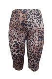 Tailored leopard print cropped pants