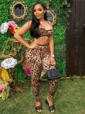 Printed camisole vest and pants cover