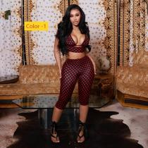 Hanging neck bikini top, polka dot top, pleated and hip hugging pants, three piece set J26ST079