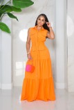 Flip collar single breasted elastic waist large swing dress