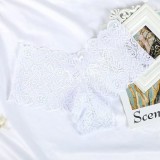 Lace mesh women's underwear