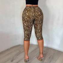 Leopard lace seven quarter leggings short pants Leopard lace seven quarter leggings short pants