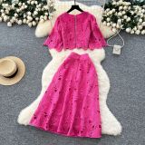 Short flared sleeve shirt, high waisted skirt, hollowed out crochet lace set