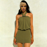 Sleeveless neck and hip hugging dress
