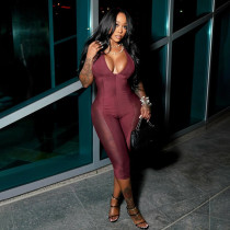 Mesh splicing low cut hanging neck see through jumpsuit